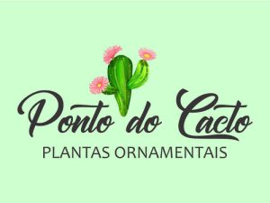 Ponto do Cacto em Maranguape CE