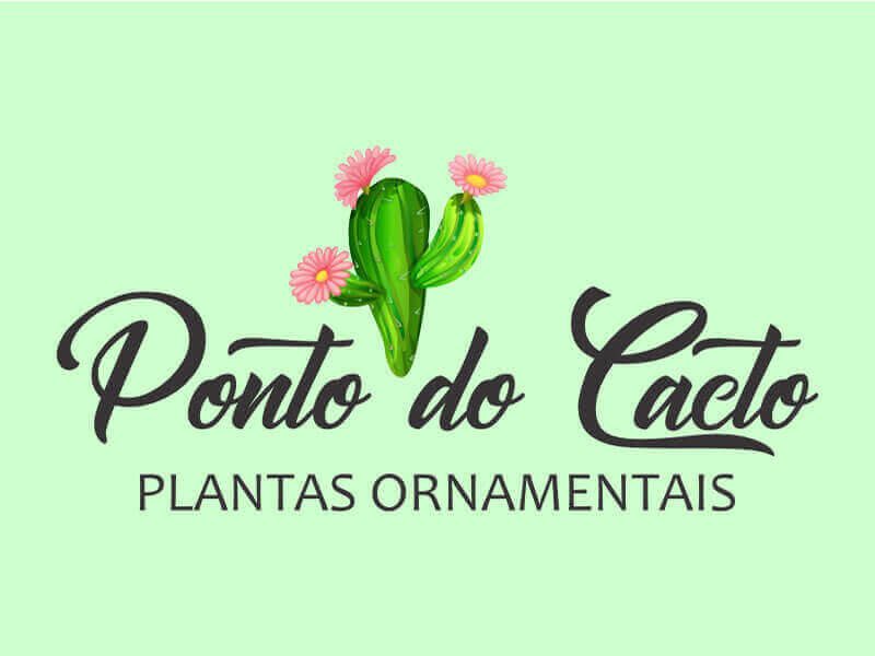 ponto-do-cacto-floricultura-plantas-ornamentais